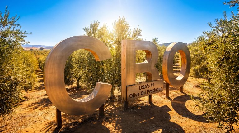 CBO olive oil grove