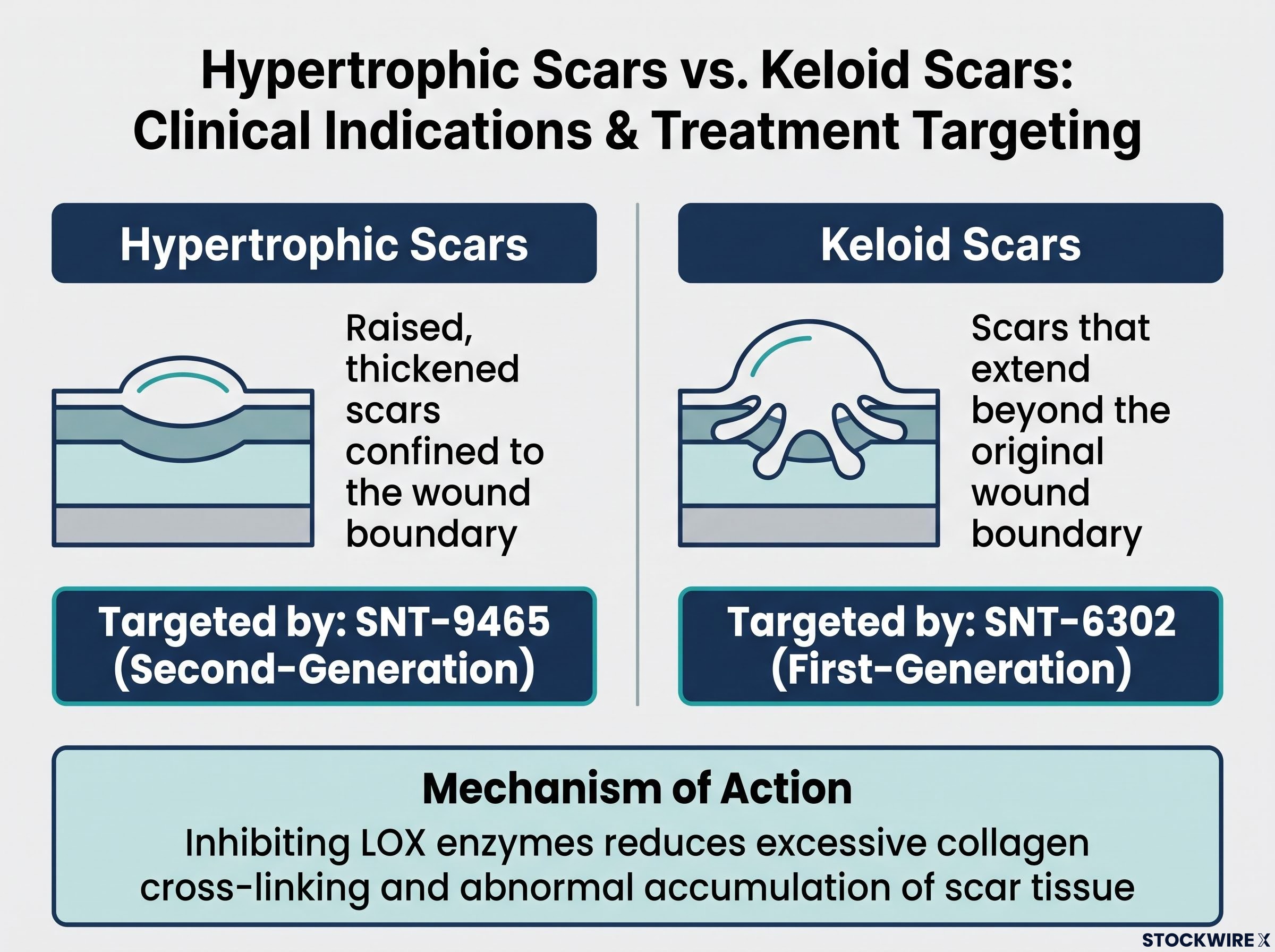Syntara Scarring Programs: Target Indications and Inhibitor Generations