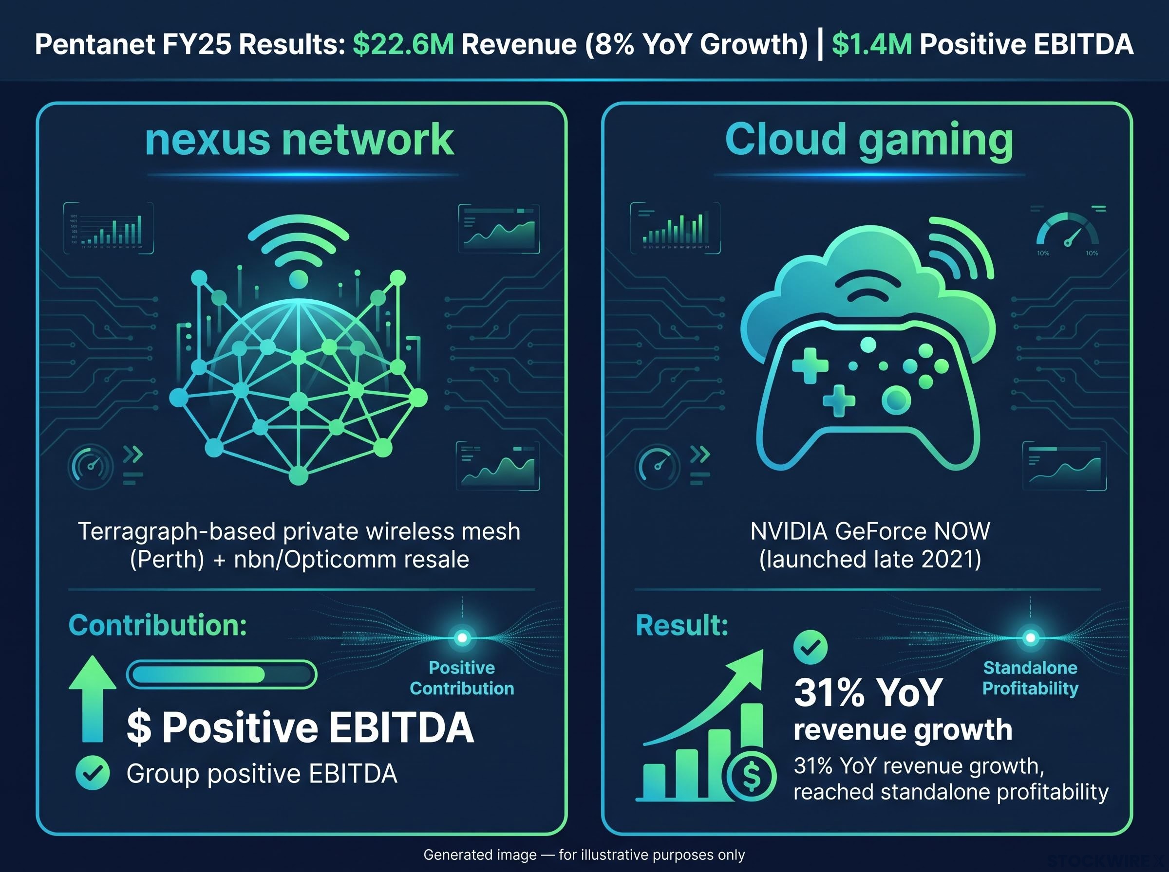 Pentanet FY25 Segment Breakdown
