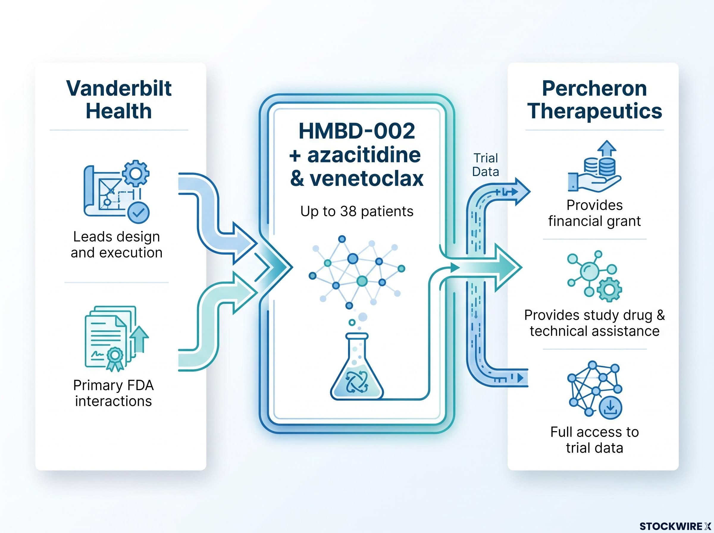 HMBD-002 Investigator-Sponsored Trial (IST) Structure