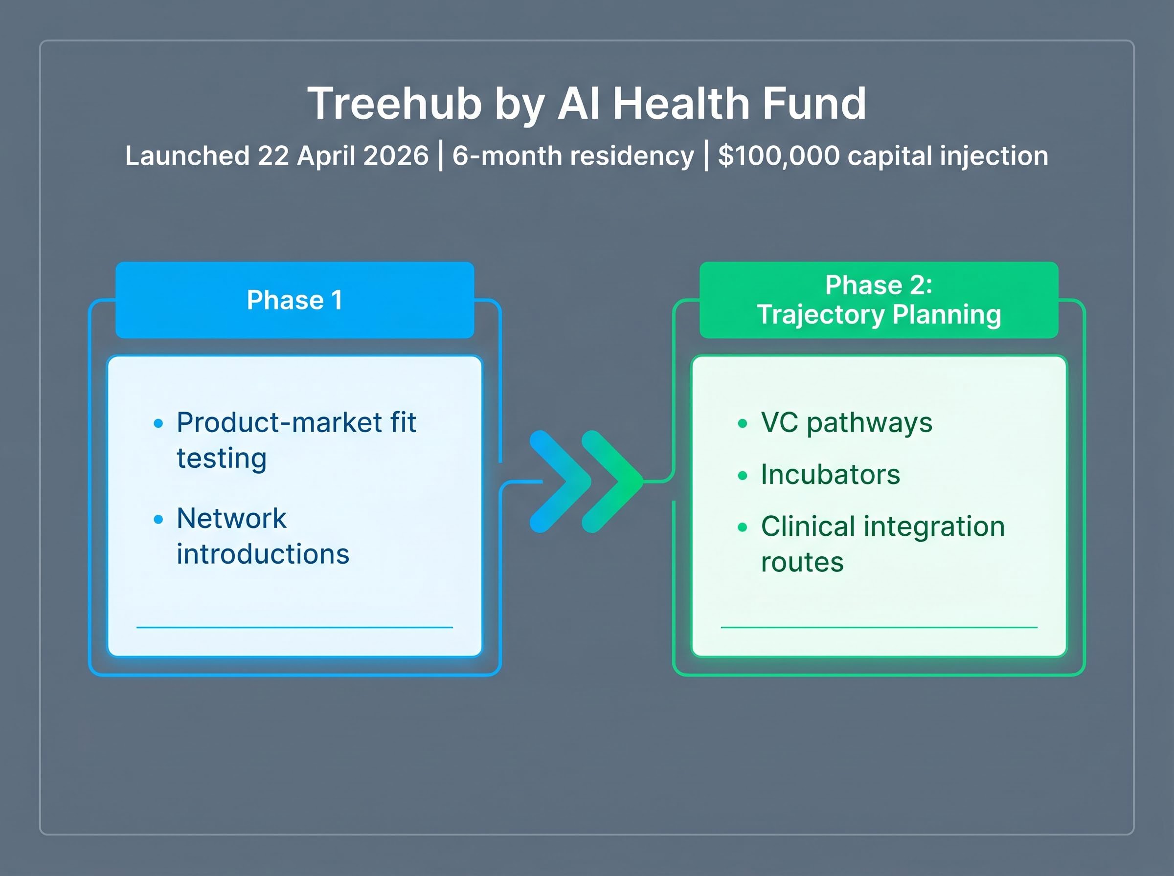 The Treehub Pre-Company Residency Journey