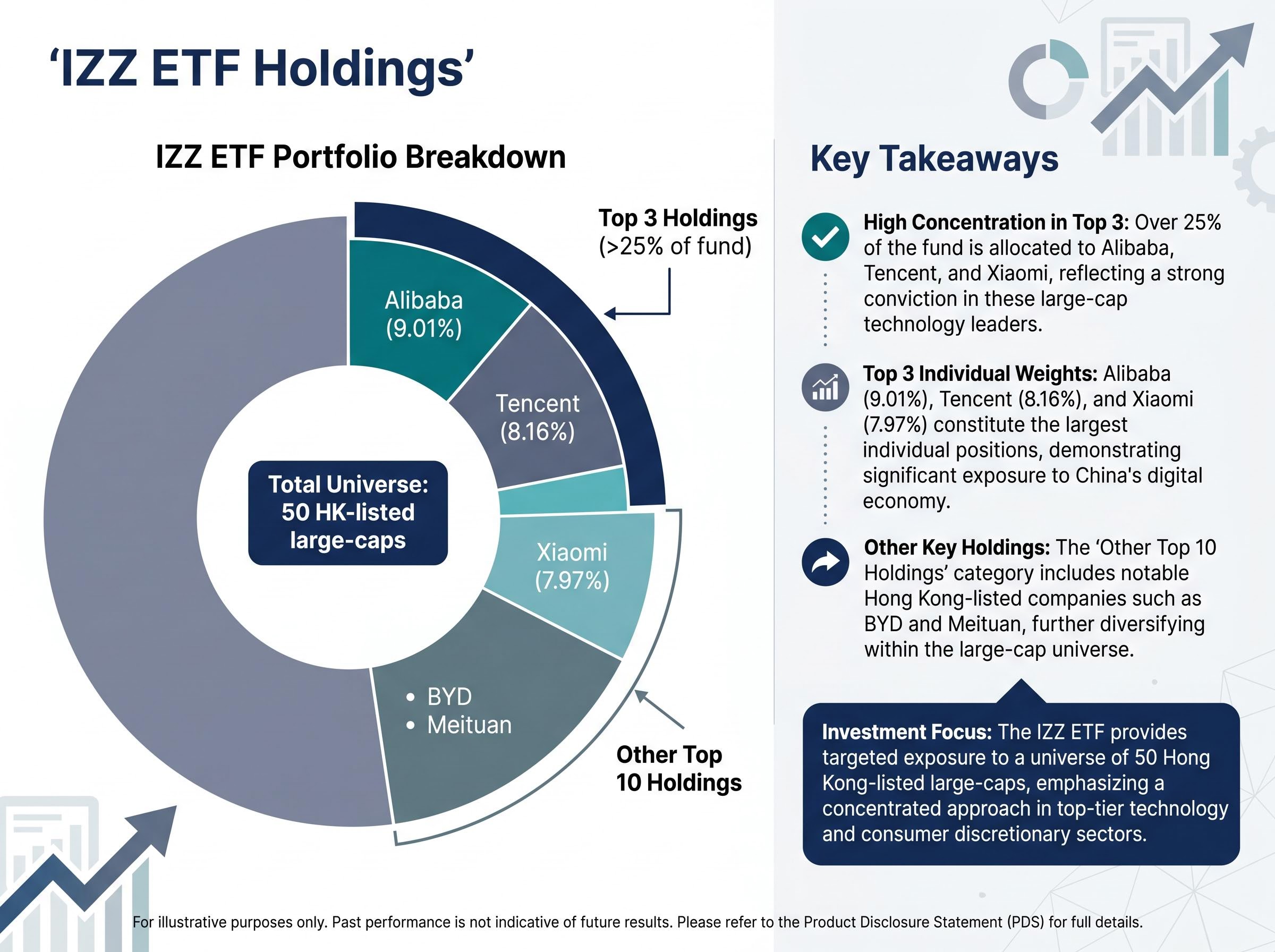 IZZ Portfolio Concentration: Top Holdings Breakdown