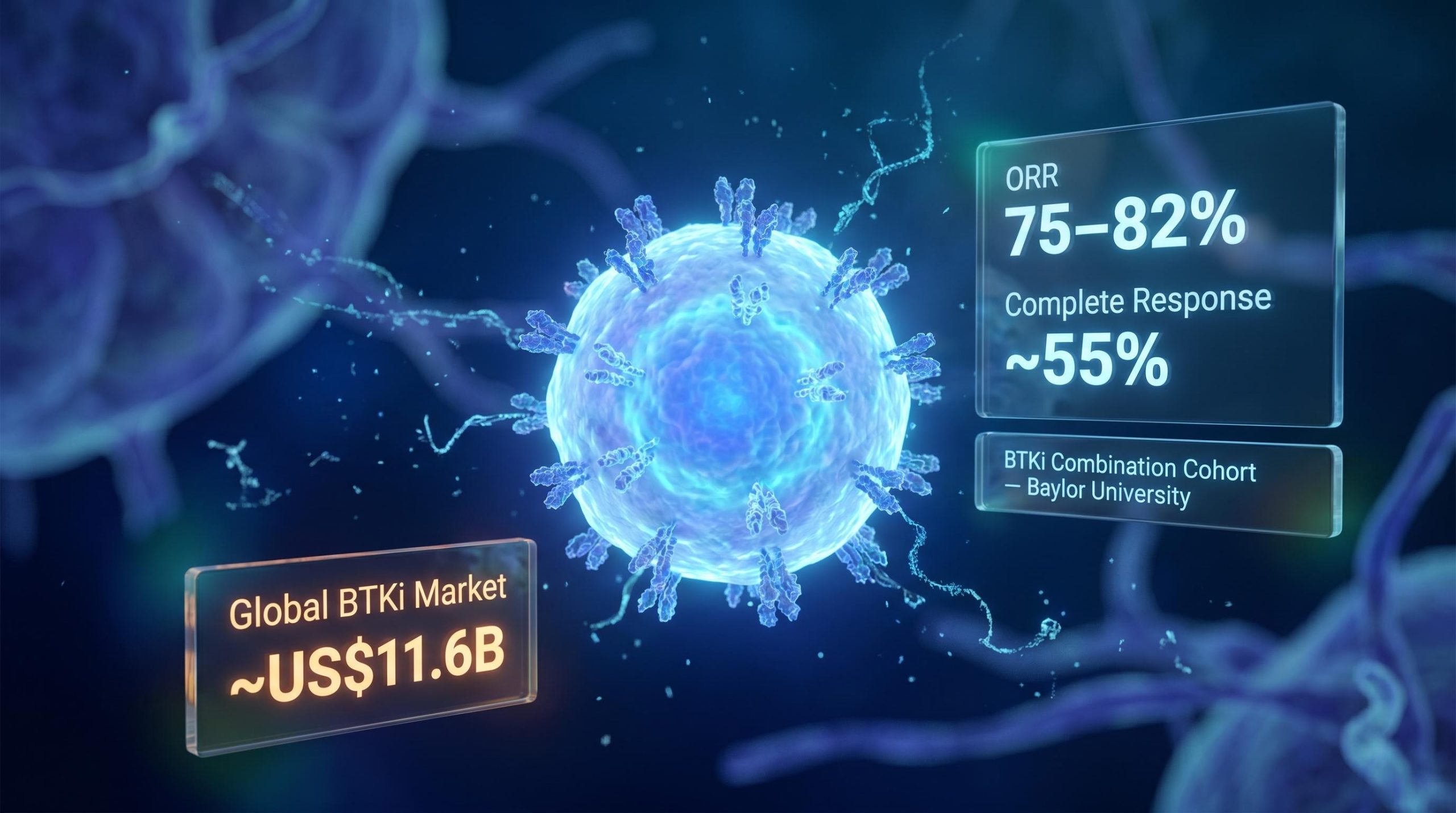 Imugene azer-cel CAR-T cell with ORR 75–82% and BTKi combination cohort data panels — ASX biotech stocks