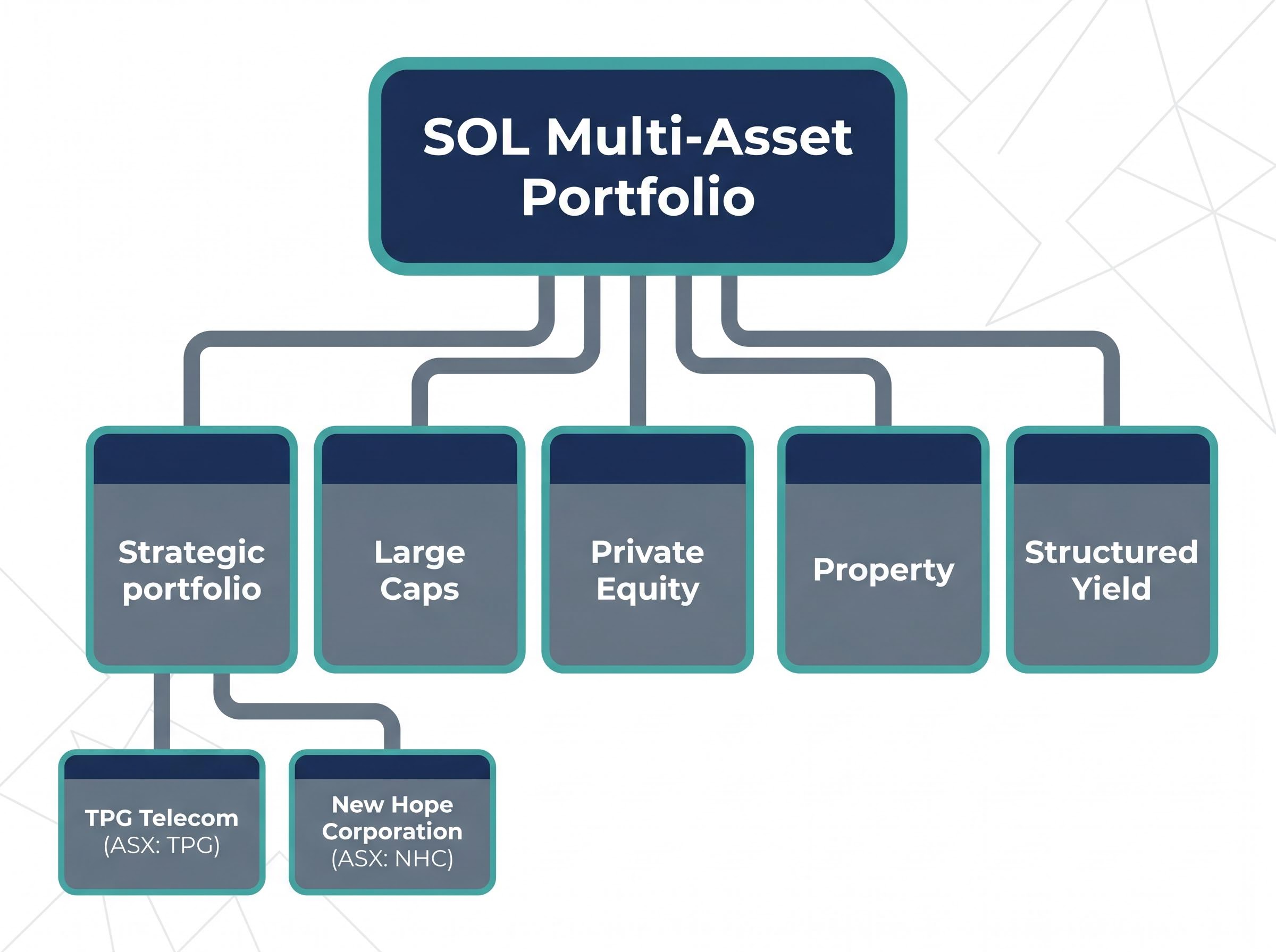 SOL's Multi-Asset Portfolio Structure