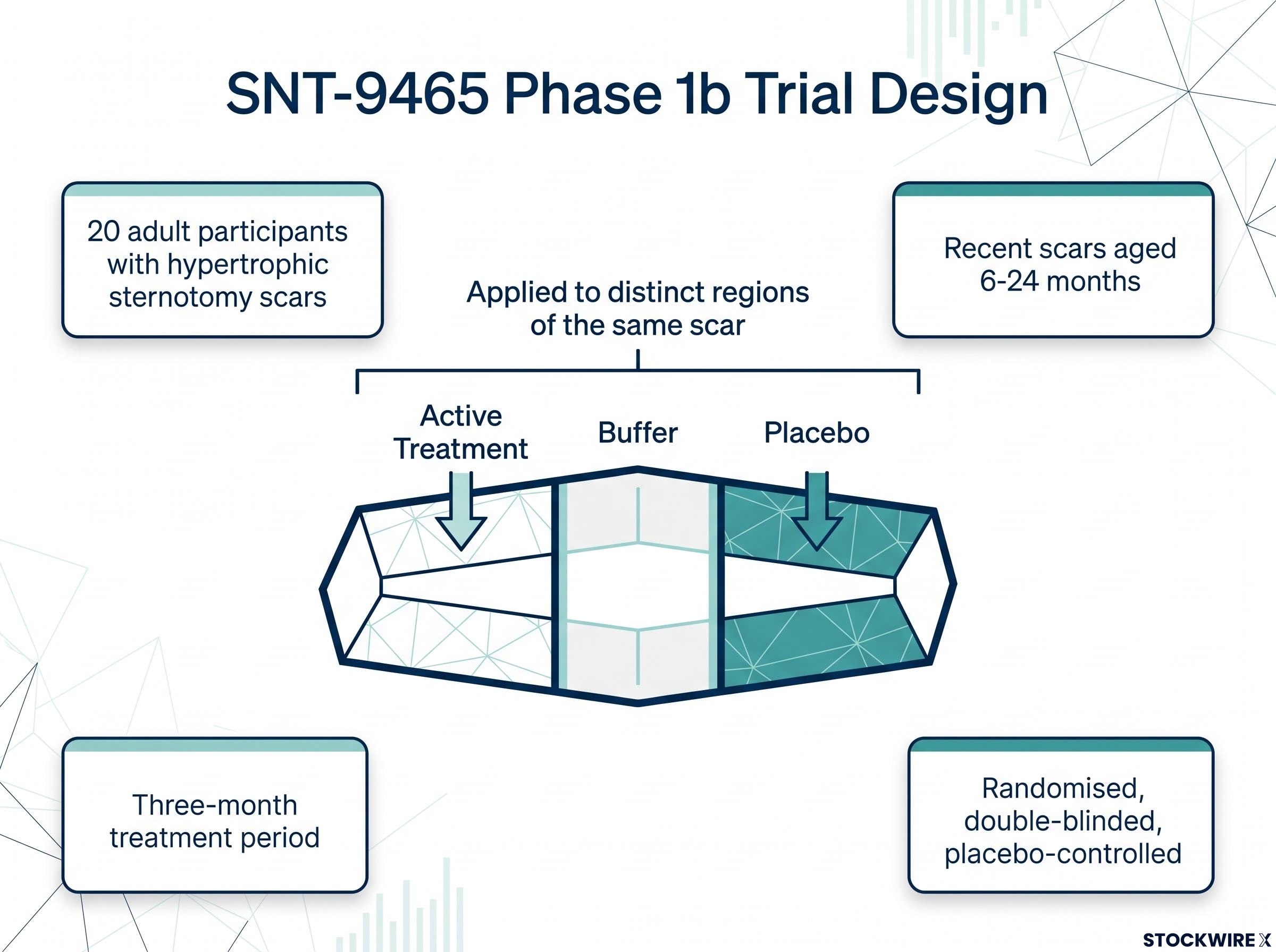 SNT-9465 Phase 1b Trial Design Visualizer