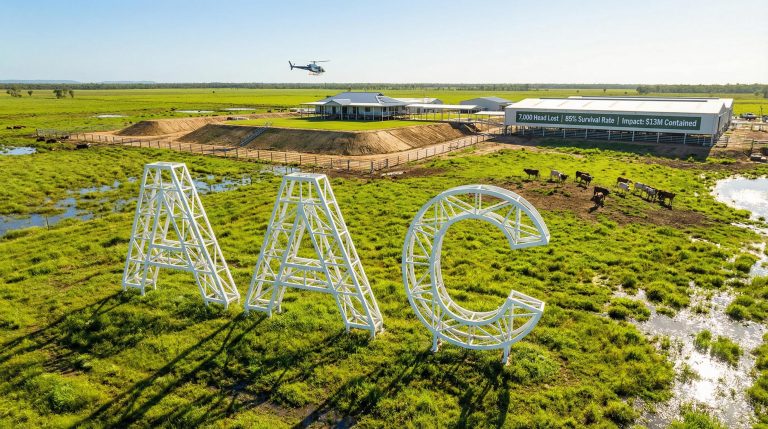AACo Loses Just 1.5% of Herd Despite Massive Floods Across Three Queensland Stations