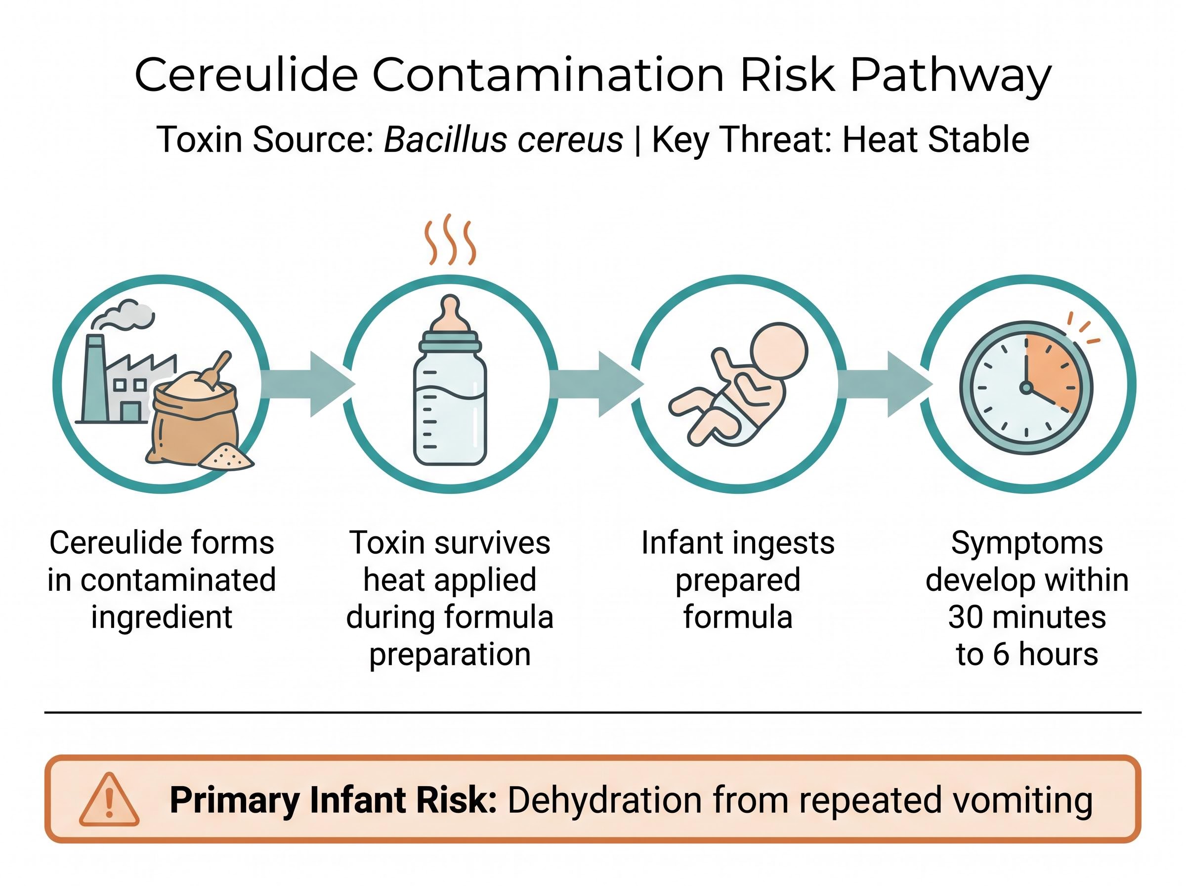 Cereulide Contamination Risk Pathway